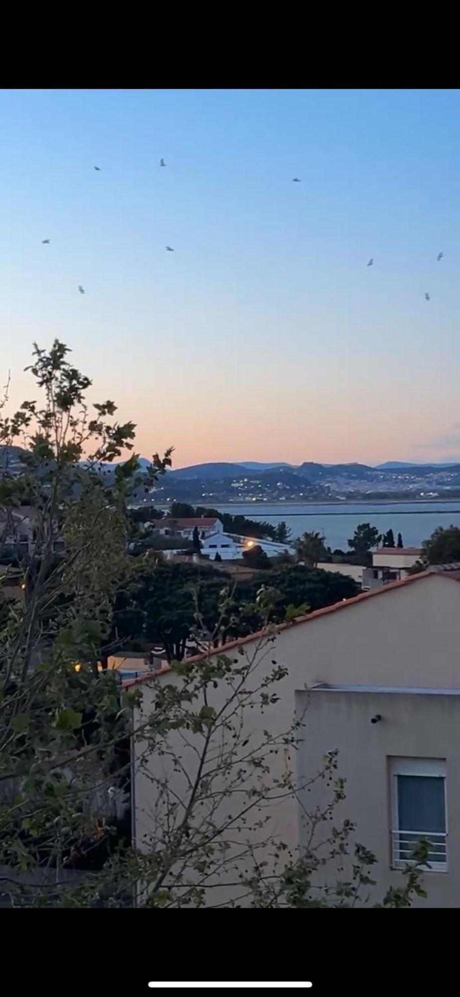Apartament Superbe Duplex Refait A Neuf ! Hyères Zewnętrze zdjęcie